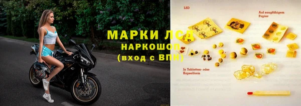 ГАЛЛЮЦИНОГЕННЫЕ ГРИБЫ Баксан