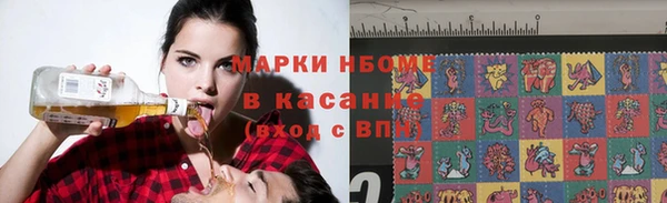 прущие грибы Балахна