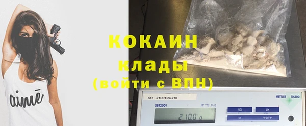 прущие грибы Балахна