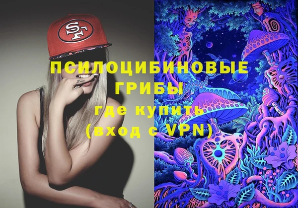 ГАЛЛЮЦИНОГЕННЫЕ ГРИБЫ Баксан