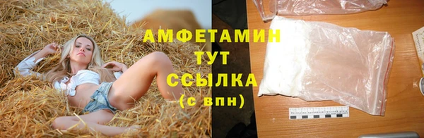 прущие грибы Балахна