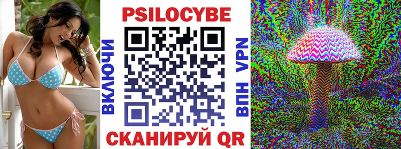 купить  сайты  Чулым  Псилоцибиновые грибы мухоморы 